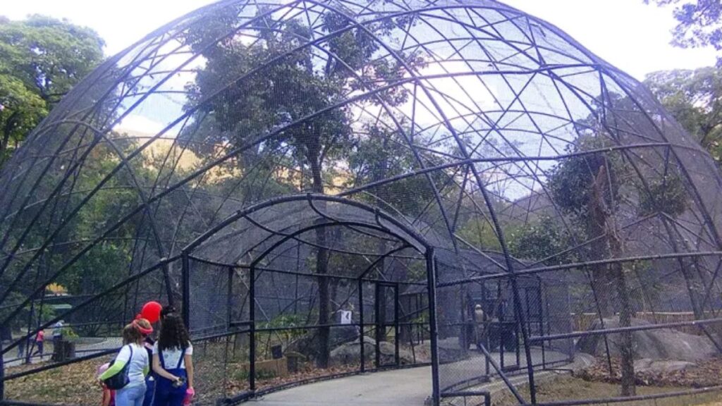 Zoologico-las-delicias-2-CNT-1024x576 Gobierno de Aragua reinauguró el Zoológico Las Delicias