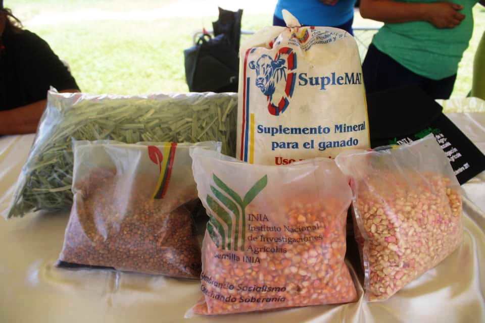 Productores satisfechos con realización de I Feria de Agroinsumos en Mariño FERIA-AGROINSUMOS-07 Productores satisfechos con realización de I Feria de Agroinsumos en Mariño