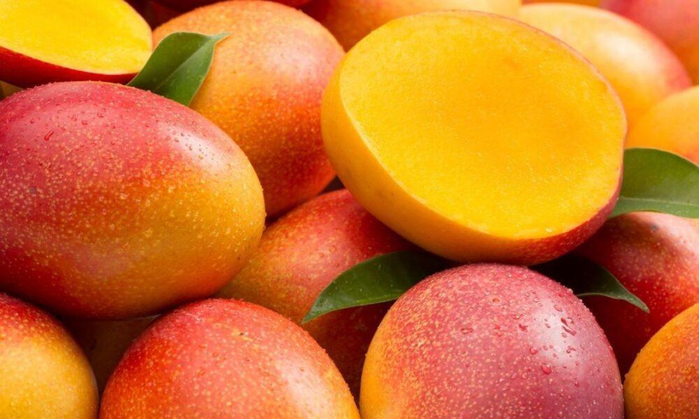 En Cojedes comenzó la temporada de mangos
