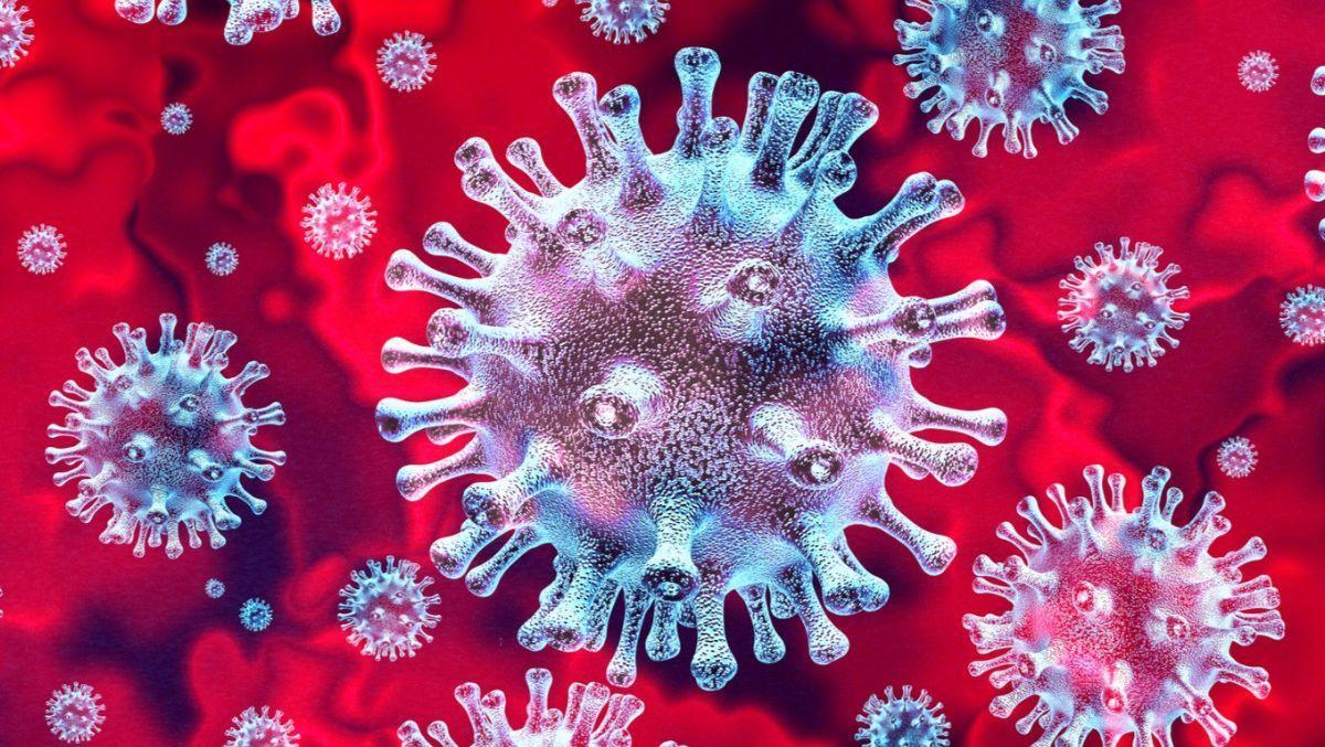 DISEASE X: El nuevo alertan viral que podría provocar NUEVA pandemia