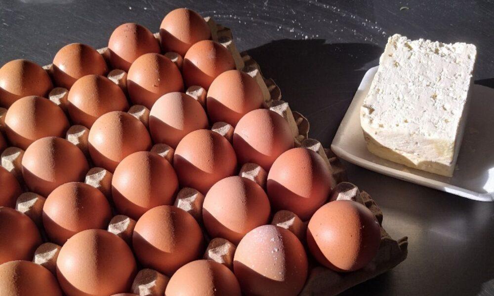 En alza precio del cartón de huevos mientras el queso esta bajando