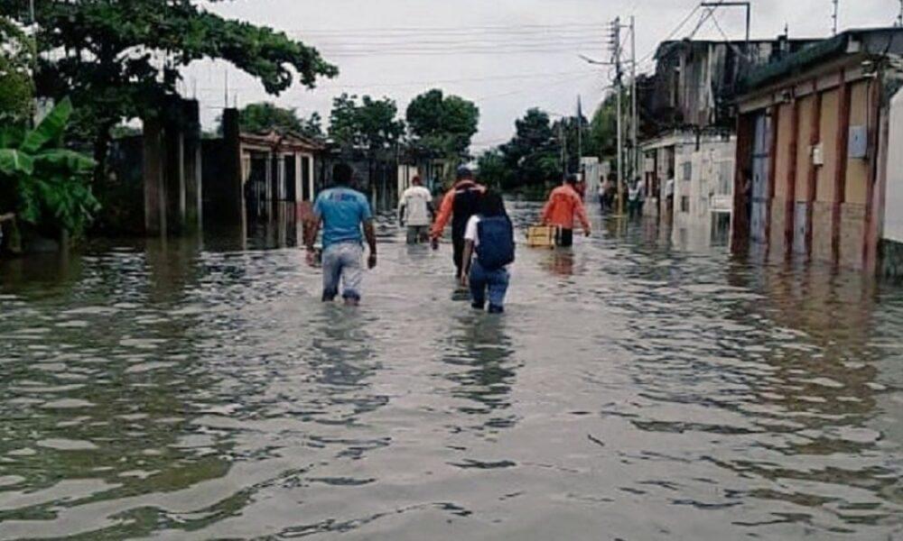 Más de 1.200 familias afectadas por inundaciones en Portuguesa