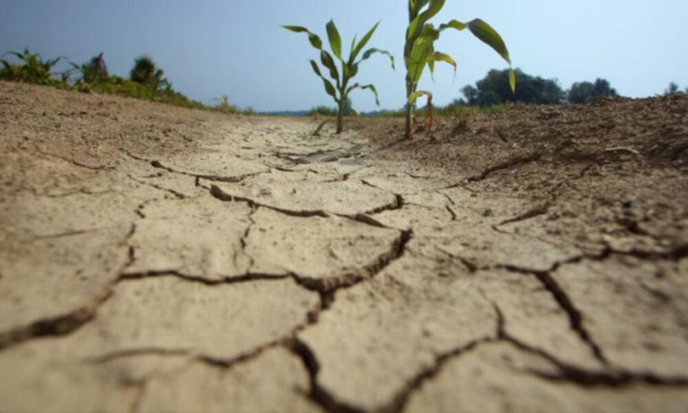 Uruguay solo le quedan reservas de agua para ocho días