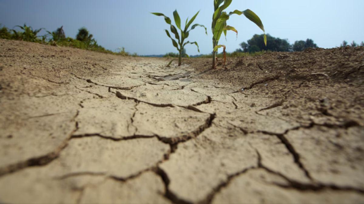 Uruguay solo le quedan reservas de agua para ocho días
