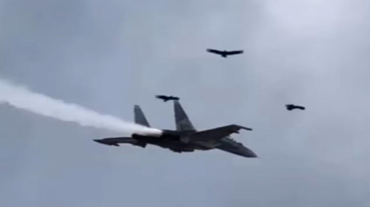 "Ingesta de aves" posibles causa de la caída del Sukhoi