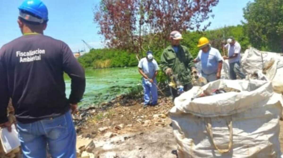 MINEC supervisa limpieza en orillas del Lago de Maracaibo
