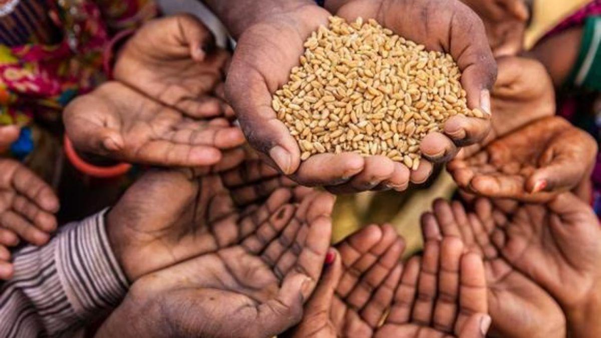 El hambre aumentó en África entre un 40 y un 60 % a raíz de la guerra de Ucrania
