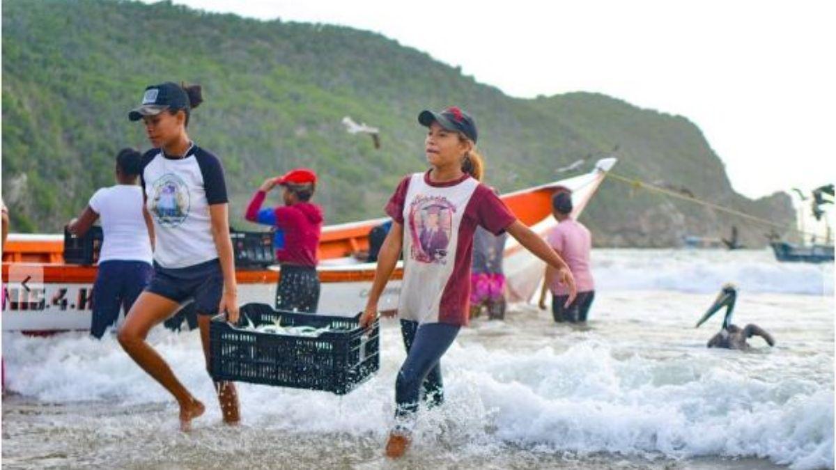 Sucre es el principal productor de sardina en el país