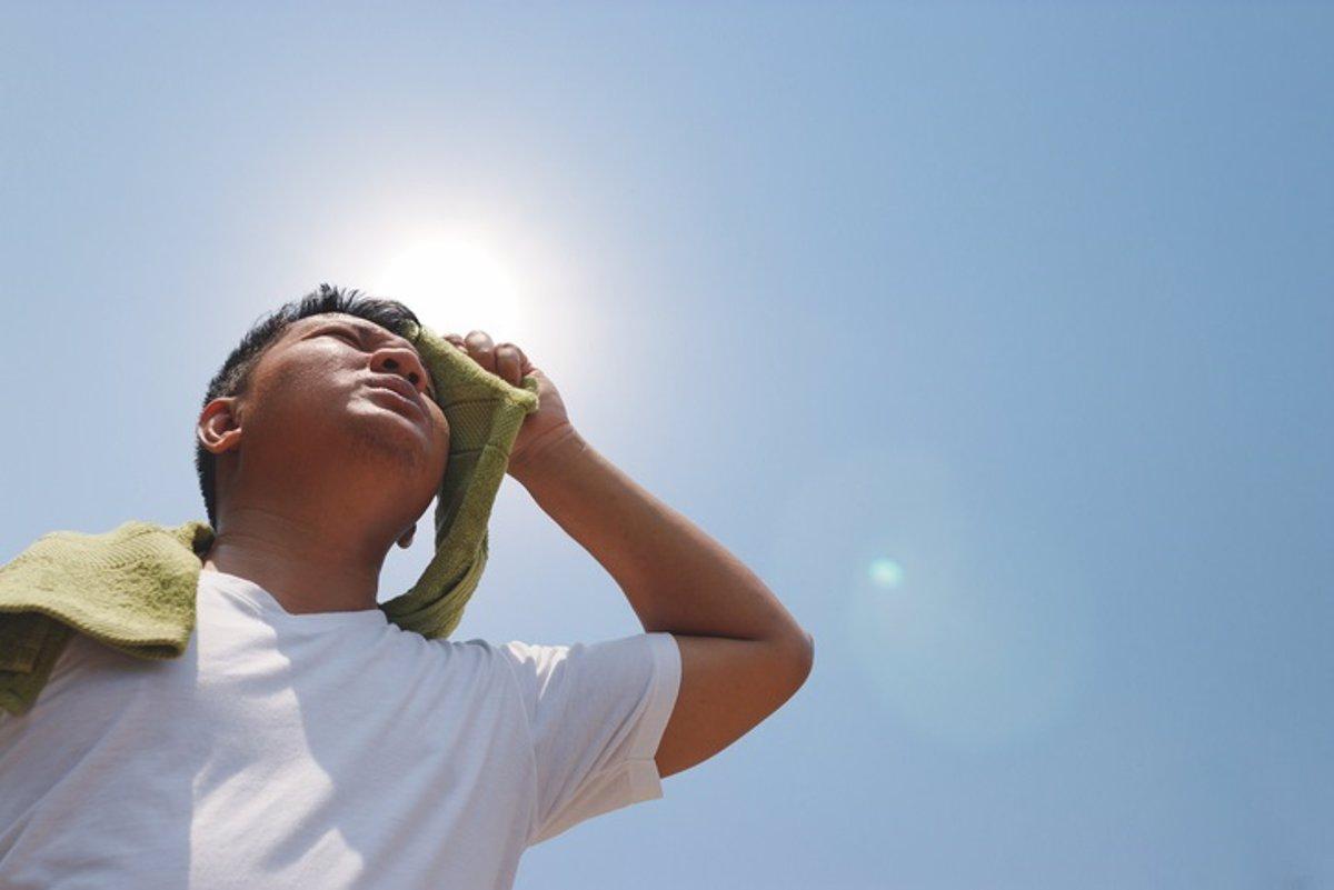 Conoce las consecuencias del calor en el cerebro