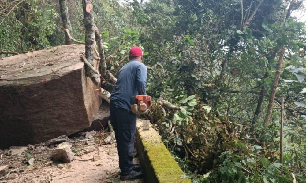 Iniciaron trabajos de despeje vial en la carretera Maracay-Choroní