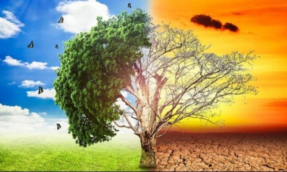 Cambio climático está transformando los patrones climáticos en Venezuela