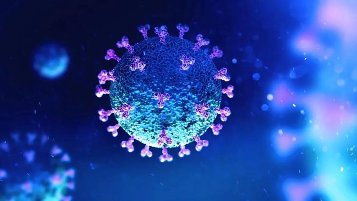 La OMS advierte de una 'enfermedad X' 20 veces más mortífera que el coronavirus