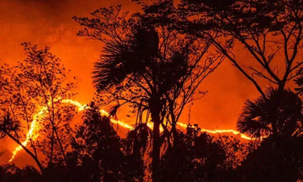 27 incendios forestales han sido detectados en Canaima durante marzo