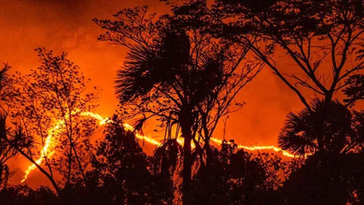 27 incendios forestales han sido detectados en Canaima durante marzo