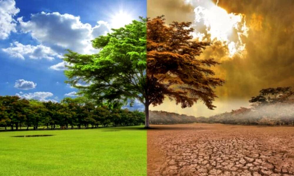Altas temperaturas globales ¿señal de una nueva era climática?