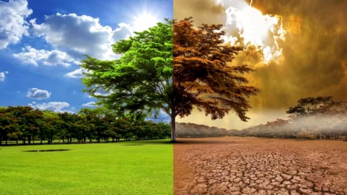 Altas temperaturas globales ¿señal de una nueva era climática?