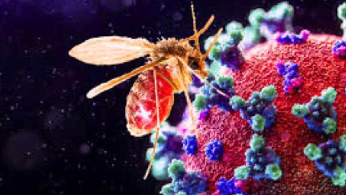 El Virus de Chandipura avanza y deja decenas de muertos en la India