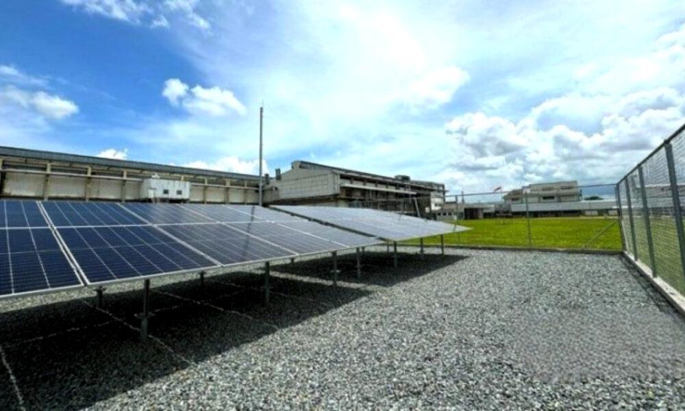 Nestlé inauguró 1er parque de paneles solares de 50 KV para su planta en Sta.Cruz