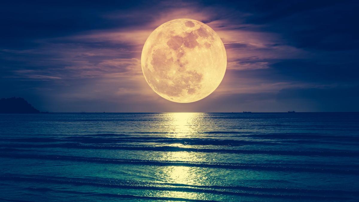 Fenómeno de "Superluna" y cambio climático: causas de marea de fondo en costas del país