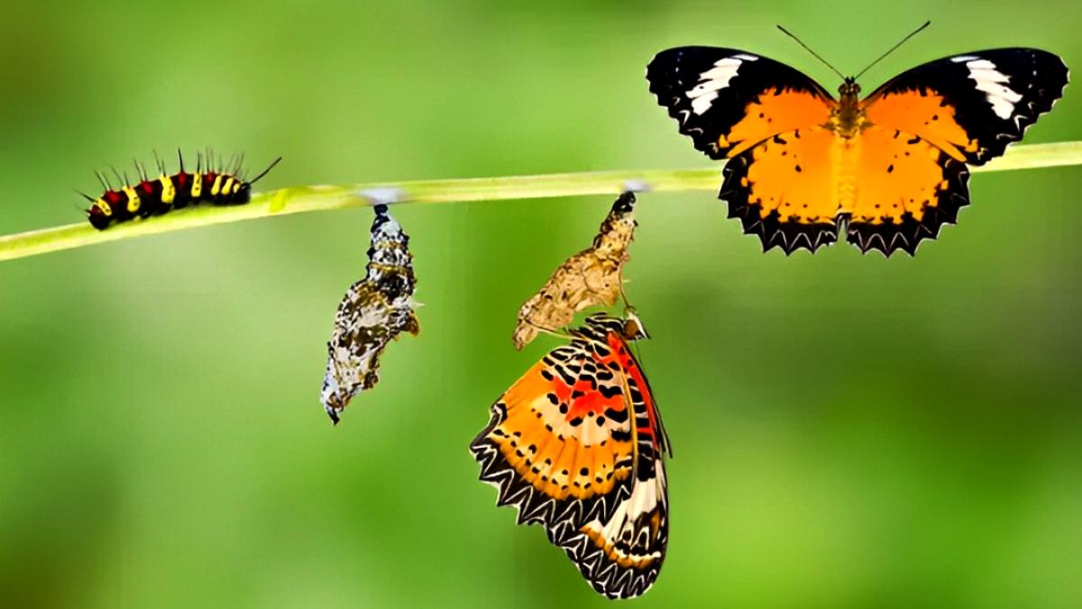 Vivir día a día: ¿Qué harás para convertirte este año en la persona que quieres ser?