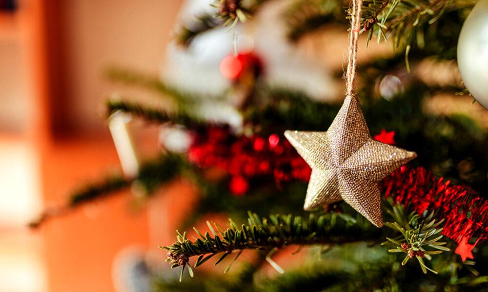 Vivir día a día: ¿Logras captar la verdadera esencia de la Navidad?