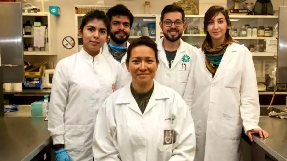 Eva Ramón, la científica mexicana que logró eliminar el VPH en 29 mujeres