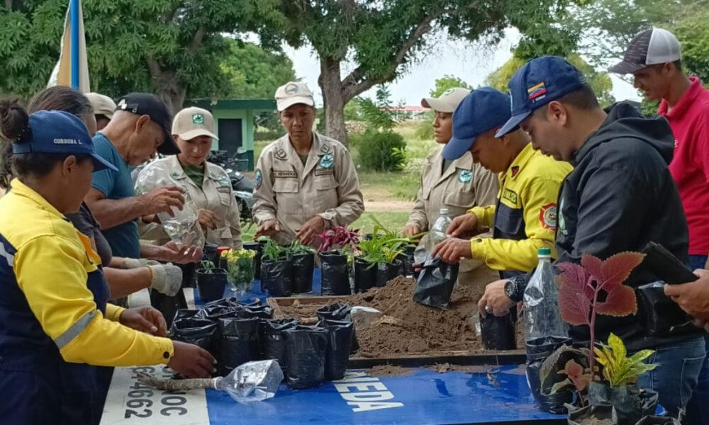 Jornada "Un regalo para el ambiente" se realizó en el parque Ruiz Pineda de Ciudad Bolívar