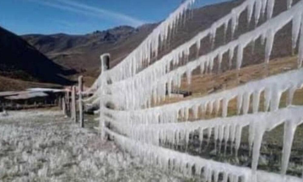 Mérida registra bajas temperaturas dejando cultivos enteros congelados