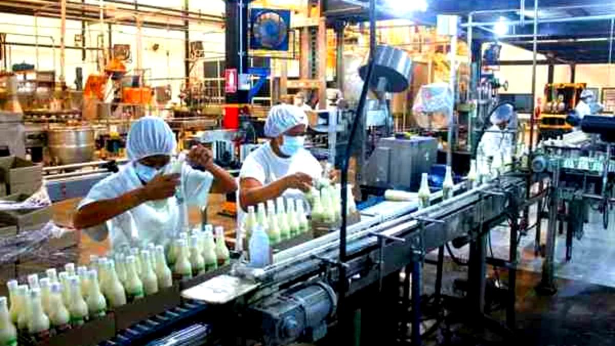 Conoce los 4 estados que concentraron la mayor actividad económica del país en 2024