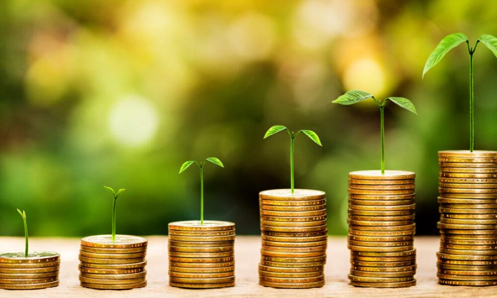 Vivir día a día: ¿Cómo promueves la gestación de la riqueza?
