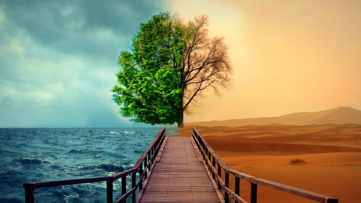 Vivir día a día: ¿A qué cosas te estás acostumbrando, a las buenas o a las malas?