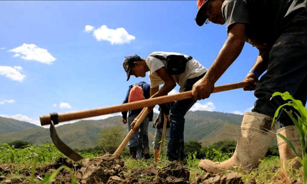 Agricultores de Barinas no pueden trasladar cosechas por daños en la vialidad