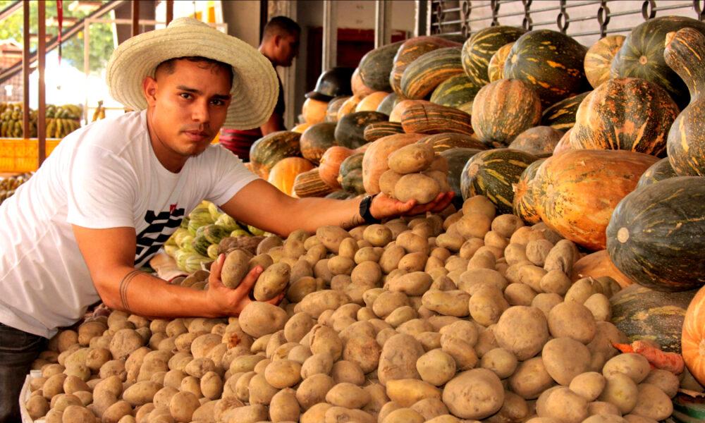 Fedeagro: productores venezolanos están cambiando el rubro de hortalizas al del café