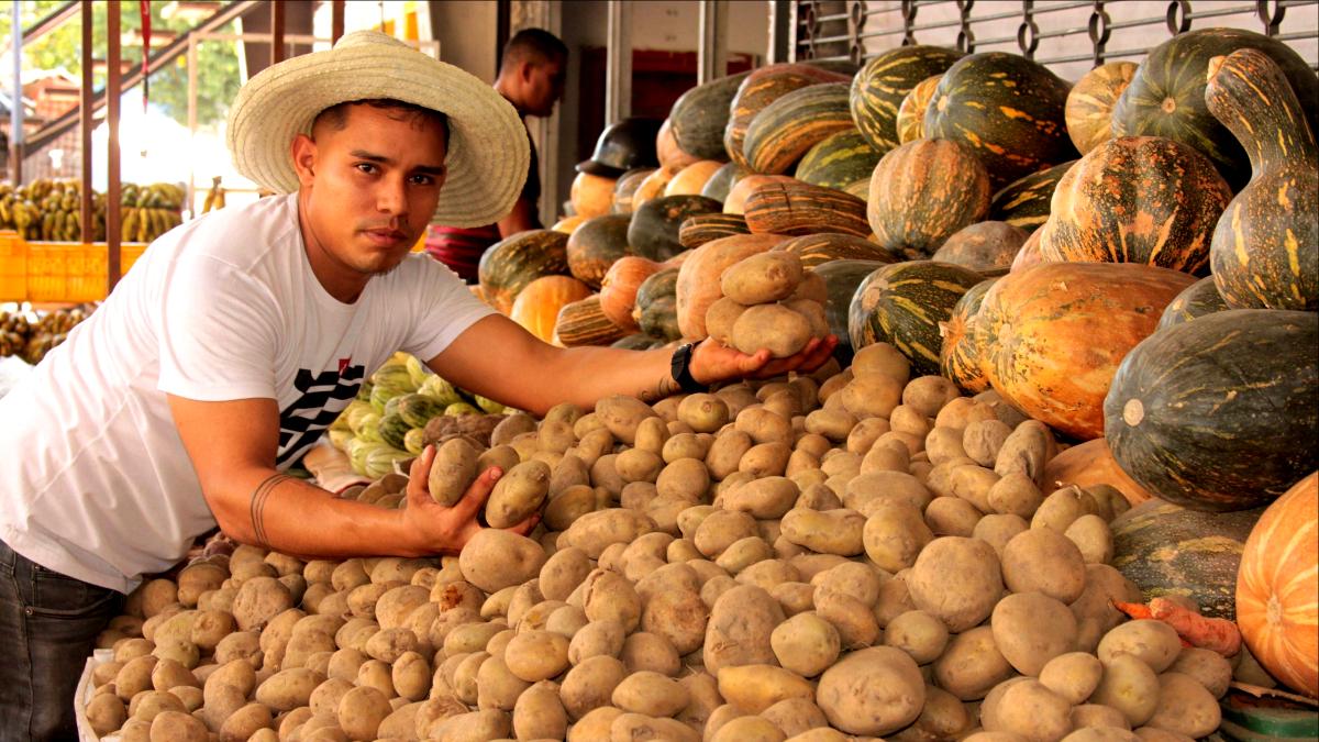 Fedeagro: productores venezolanos están cambiando el rubro de hortalizas al del café