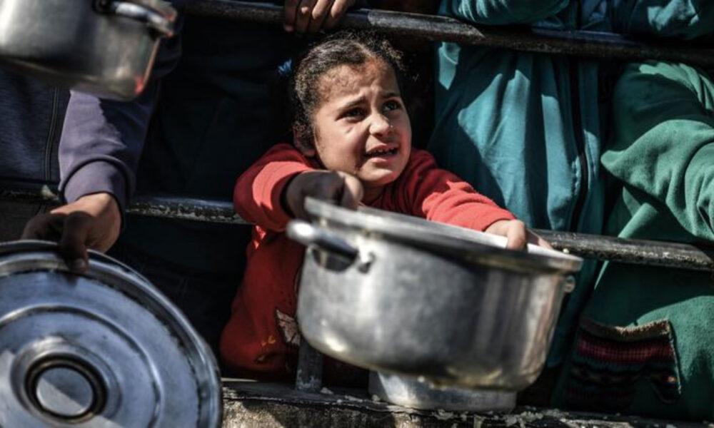 ONU: más de 66.000 niños sufren desnutrición grave en Gaza