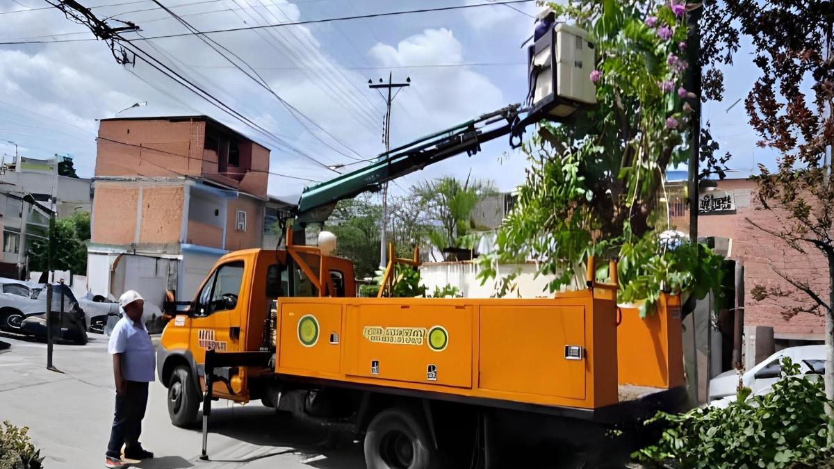 Más de 65 mil familias mariñenses favorecidas con Plan Pica y Poda de Corpoelec