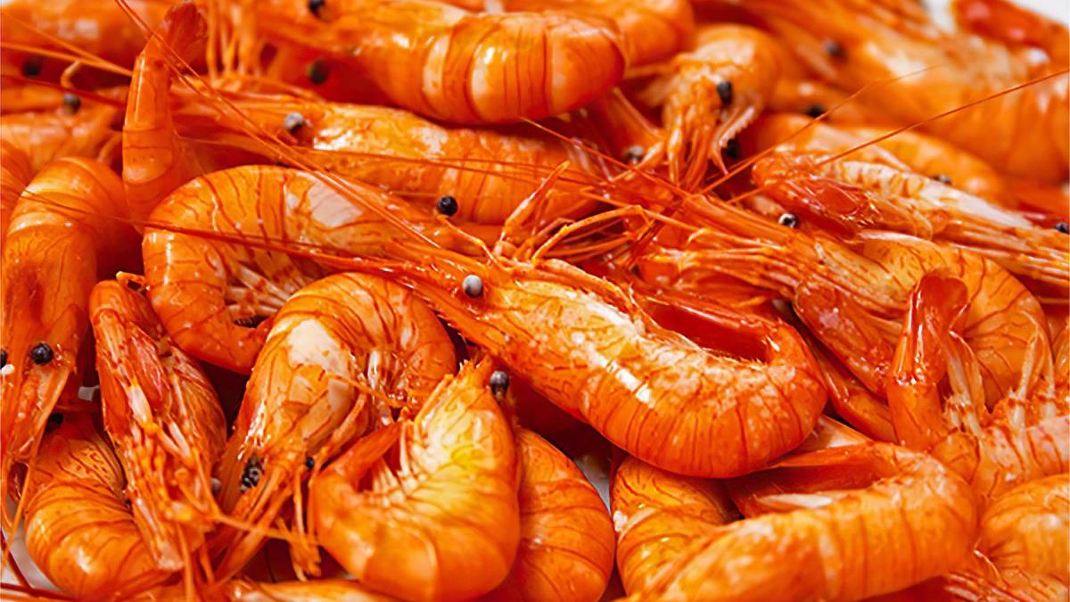 Venezuela exportará productos agricolas y marinos a Turquía en acuerdo comercial