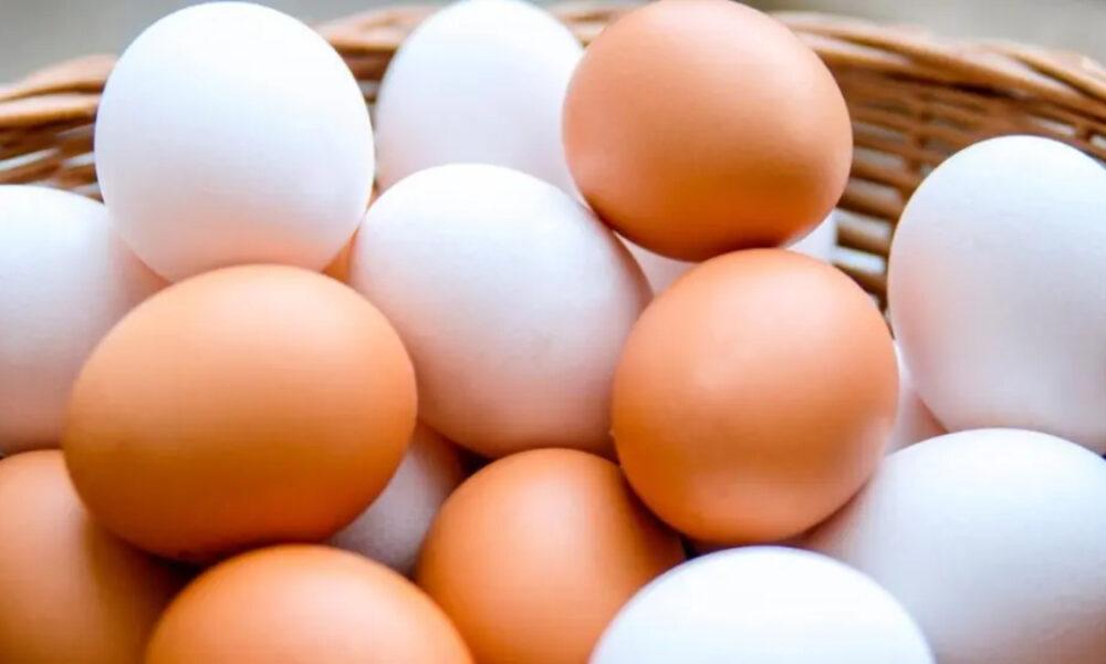 Científicos descubren que la colina, nutriente clave en huevos y carnes, reduce riesgo de alzhéimer