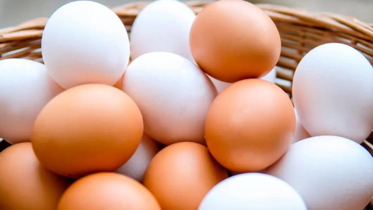 Científicos descubren que la colina, nutriente clave en huevos y carnes, reduce riesgo de alzhéimer