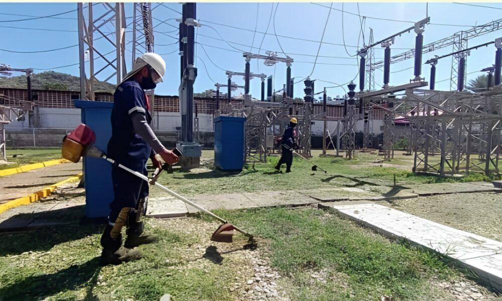 CORPOELEC ejecuta plan nacional de poda para proteger sistema eléctrico