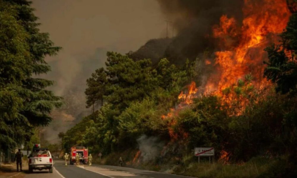 España: Dos muertos y miles evacuados en incendios forestales que arrasan seis comunidades