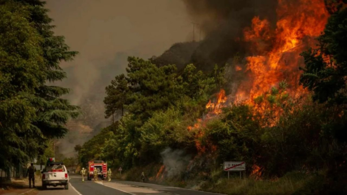 España: Dos muertos y miles evacuados en incendios forestales que arrasan seis comunidades