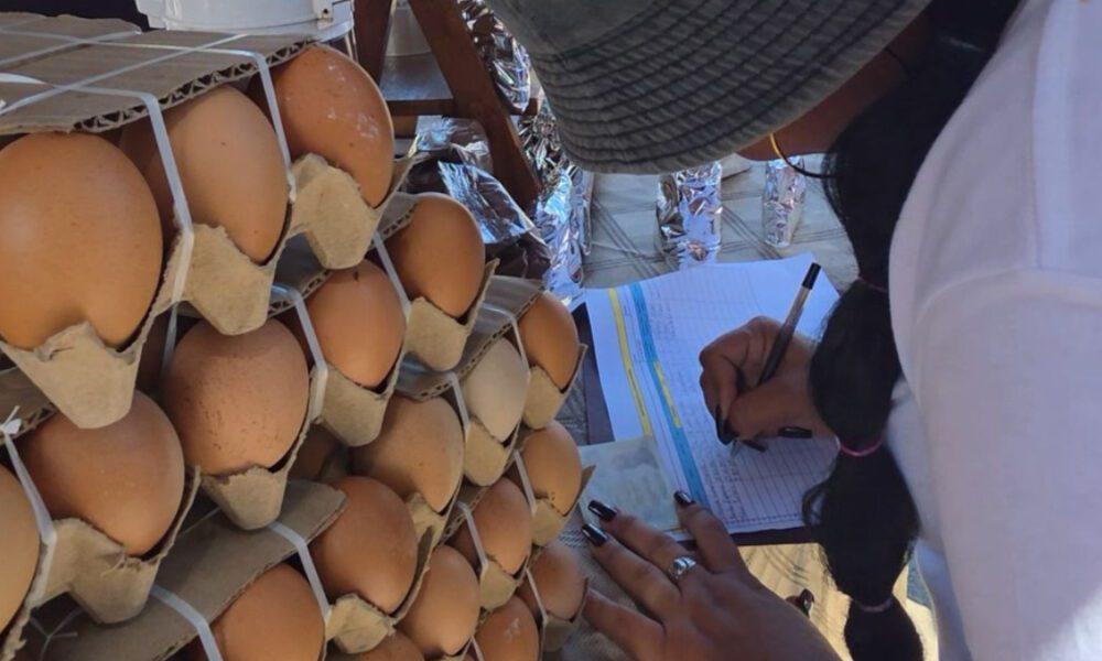 Censo registra economía informal en Villa de Cura para reorganización municipal