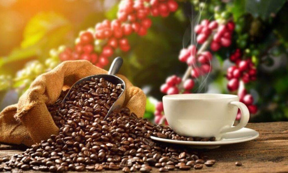 Venezuela exportará café a China y expande siembra de arroz