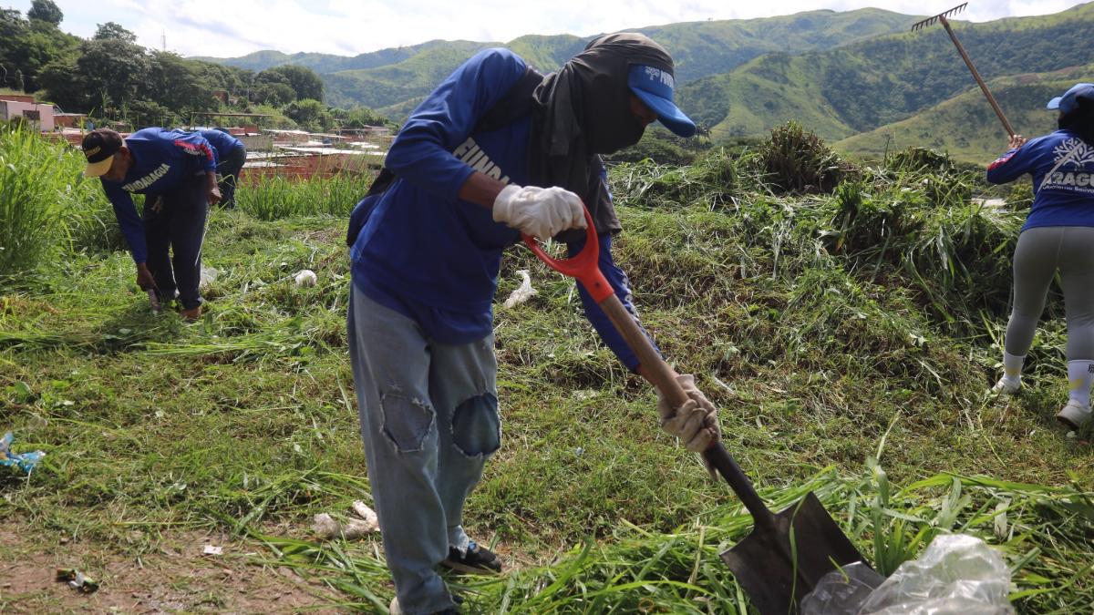 Alcaldia de Revenga despliega 250 trabajadores en mantenimiento de carretera Panamericana