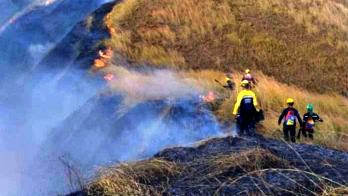 Controlan reactivación de incendio en Parque Henri Pittier 