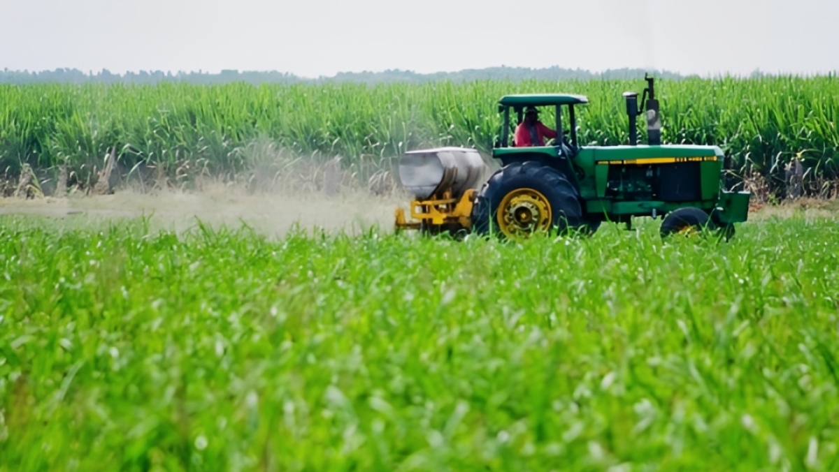 Empresarios de Aragua apuestan por crecimiento agroindustrial