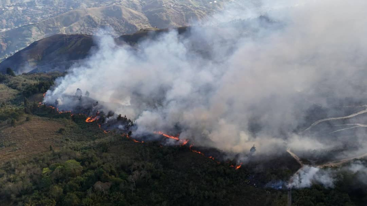 Combatientes forestales luchan contra incendios en tres estados