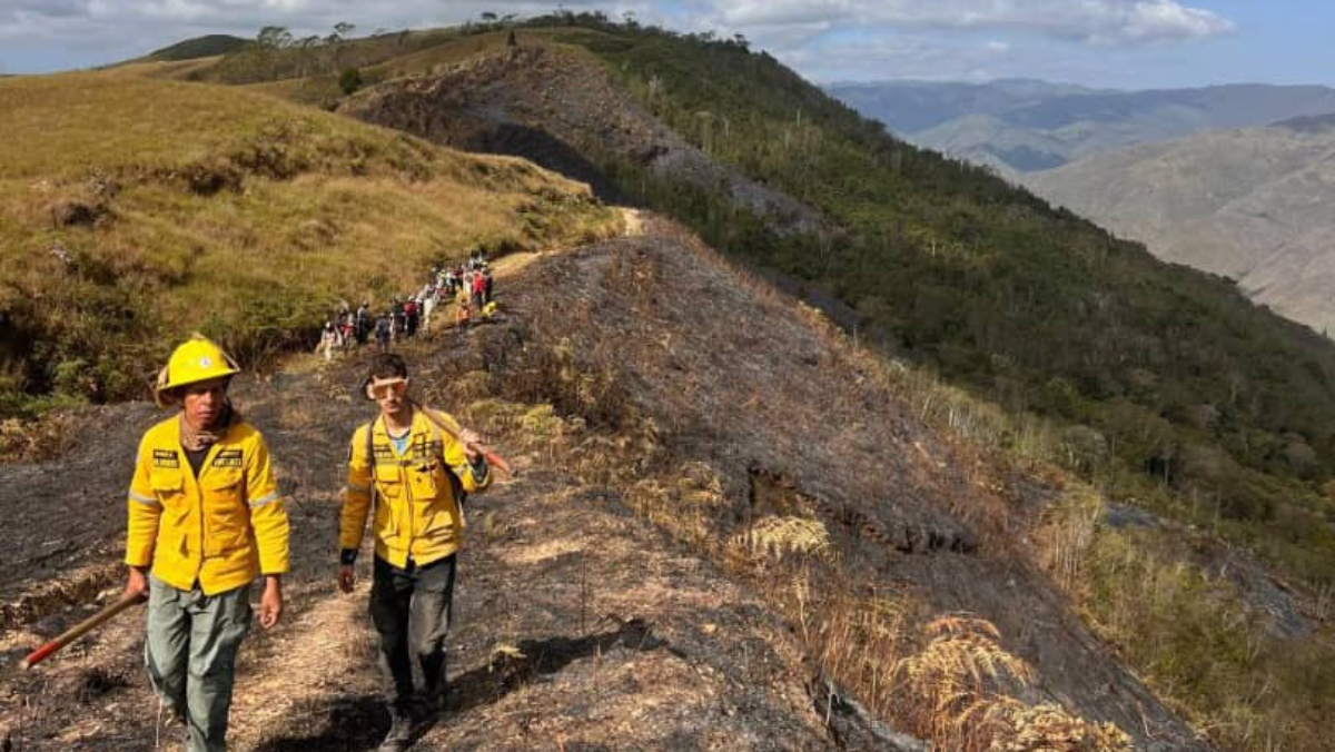 MINEC: Combatientes controlan incendios forestales en varias zonas del país