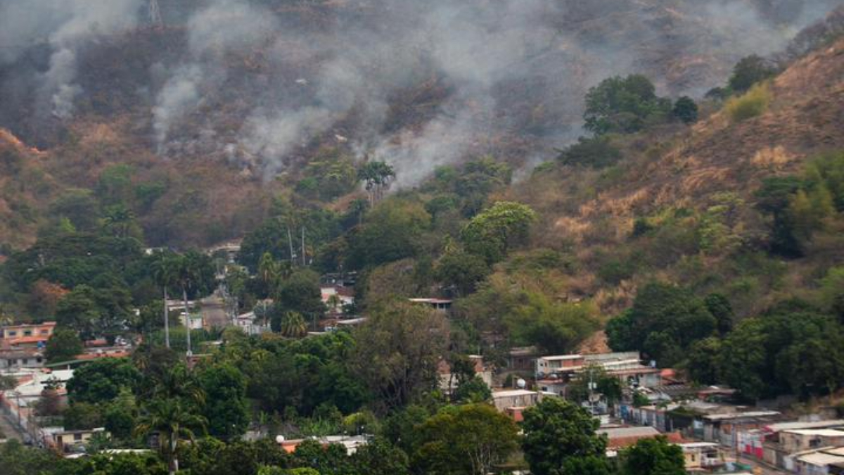 Operación Llovizna controla 80% de incendios en el Henri Pittier